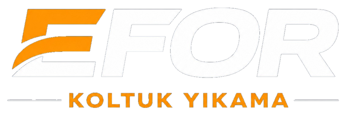 Efor Koltuk Yıkama Logo
